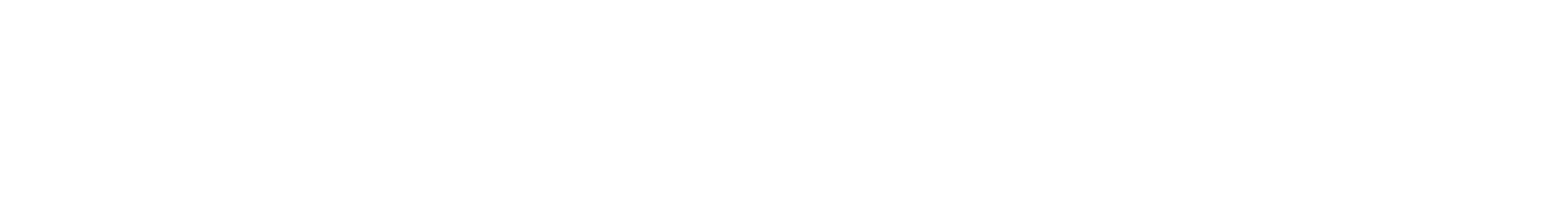RevSpark Media